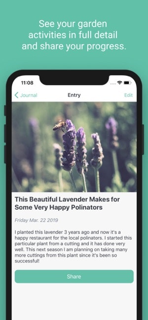 Let's Garden gallery image
