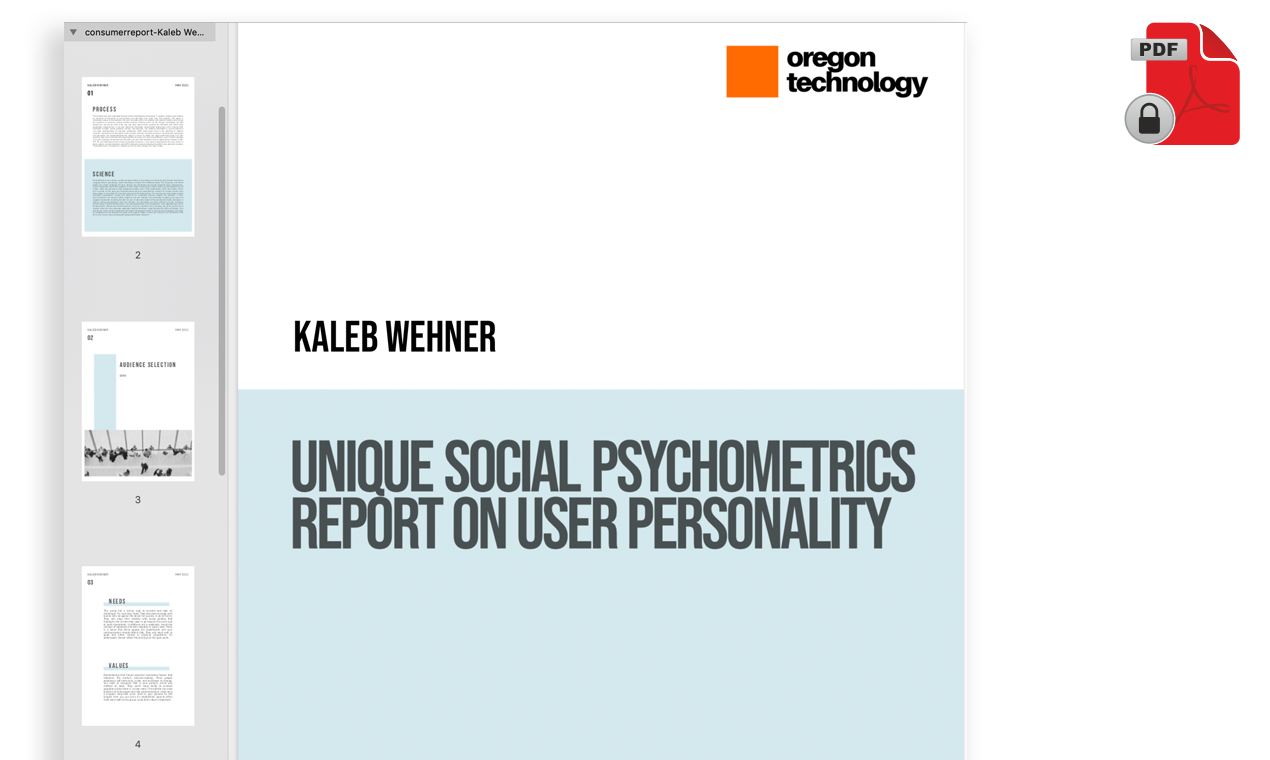 Persona Explorer gallery image