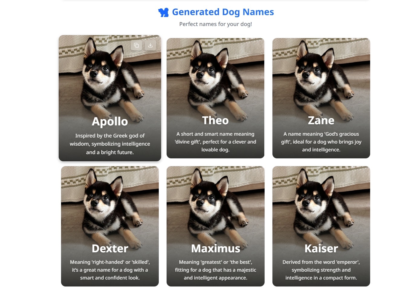 Nombres de perros - Encuentra los mejores nombres de perros media 3