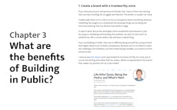 Building in Public Definite Guide media 1