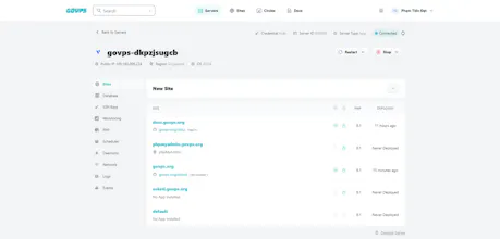 GoVPS.ORG gallery image