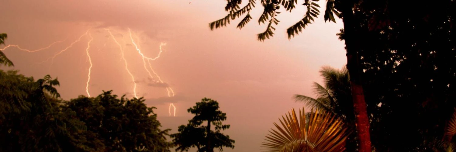 Dani Schenker🇨🇭 cover