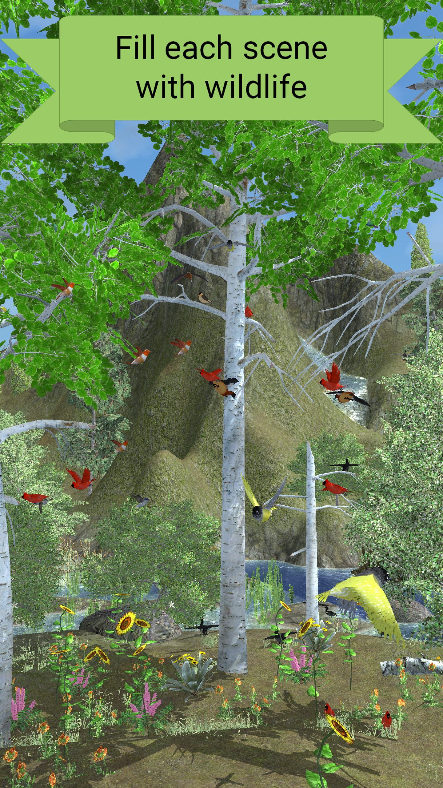 My Aviary gallery image