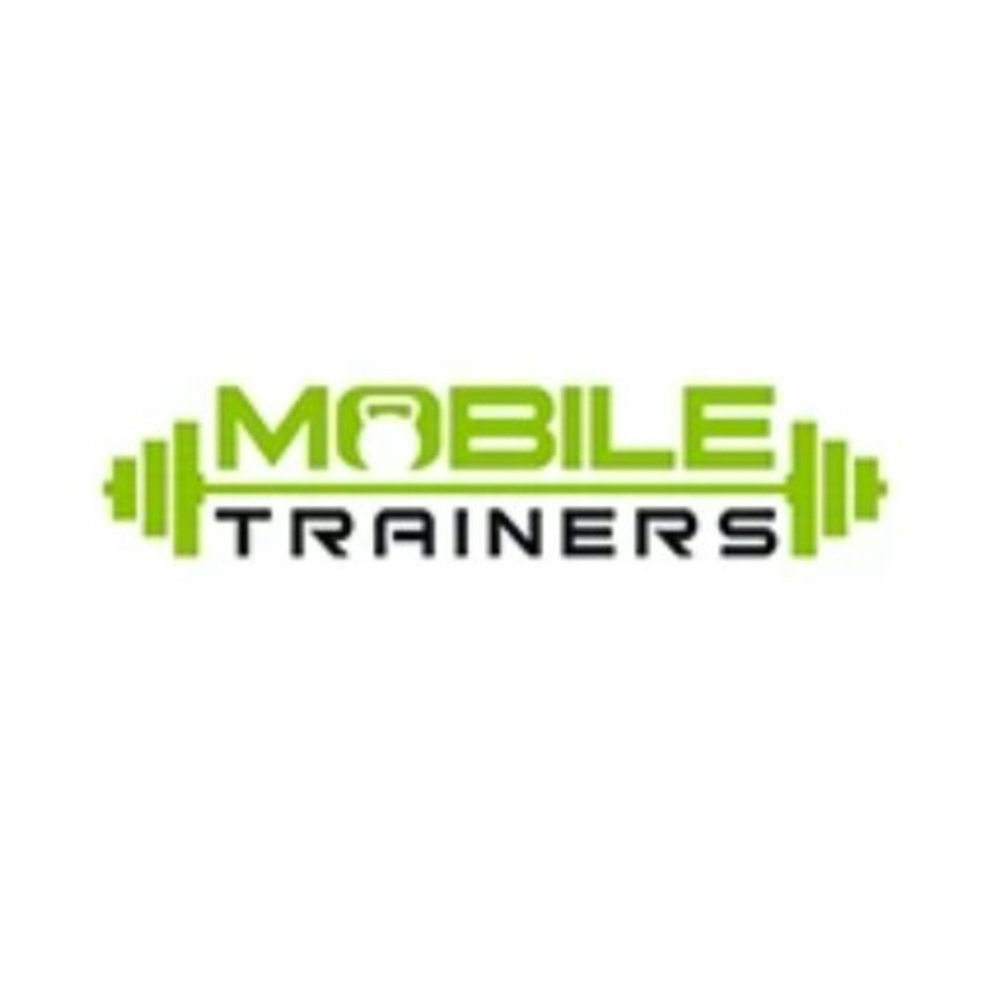 Expert Trainers in Gilbert