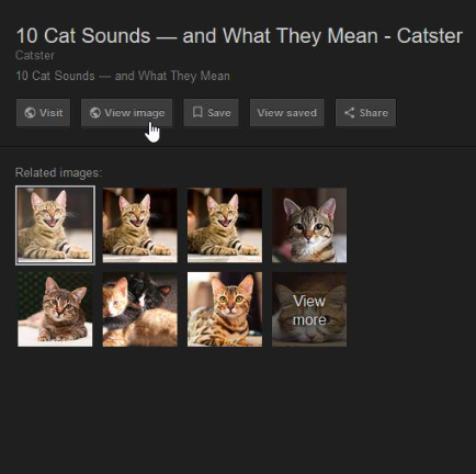 Make Google Image Search Great Again!