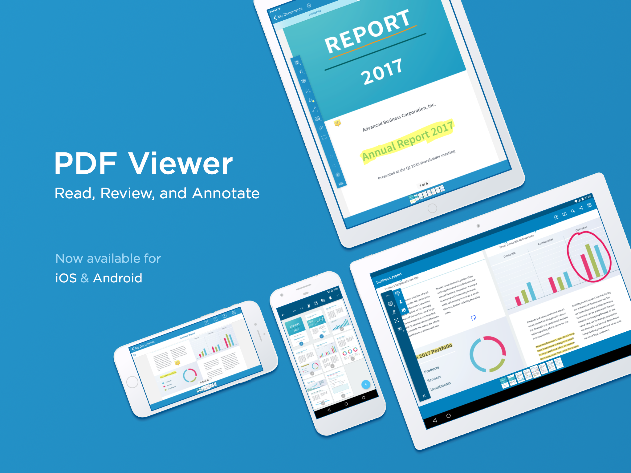 PDF Viewer gallery image
