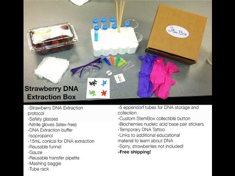 StemBox gallery image