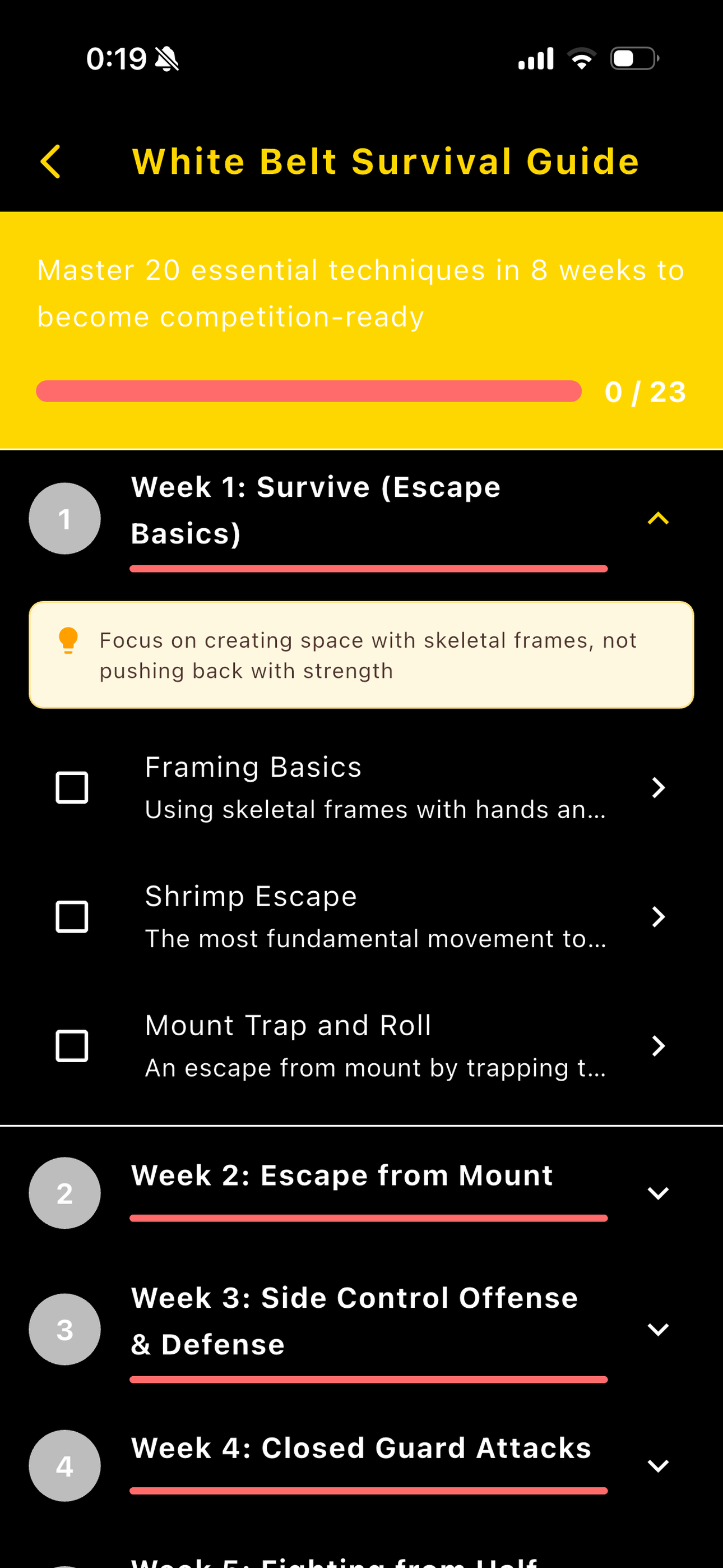 BJJ Techniques gallery image