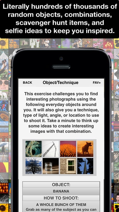 Learn Photo365 gallery image