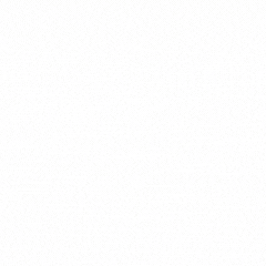 Reslash Virtual Party