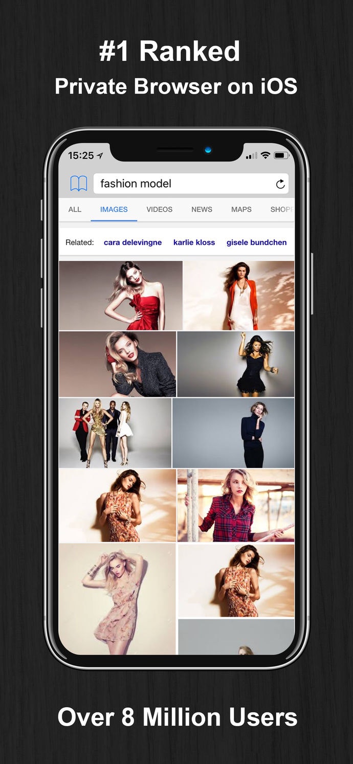 Private Browsing Web Browser gallery image