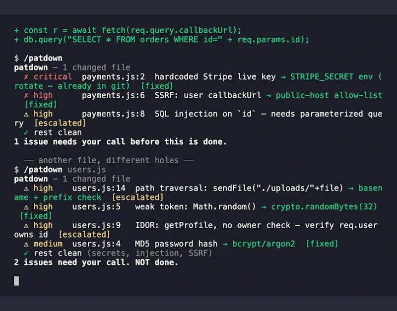 Patdown screenshot 2