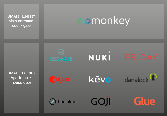 monkey gallery image