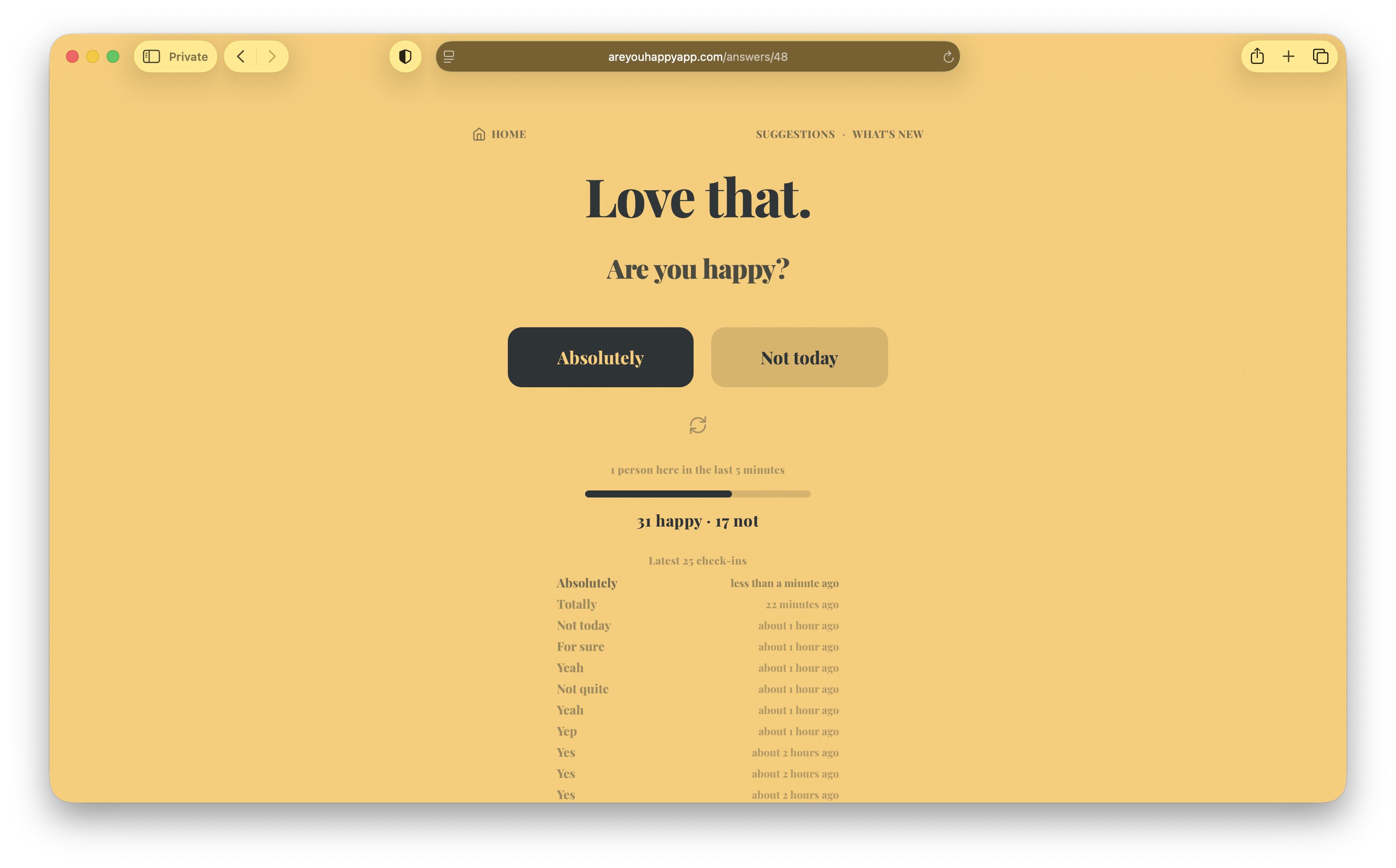 Are You Happy? gallery image