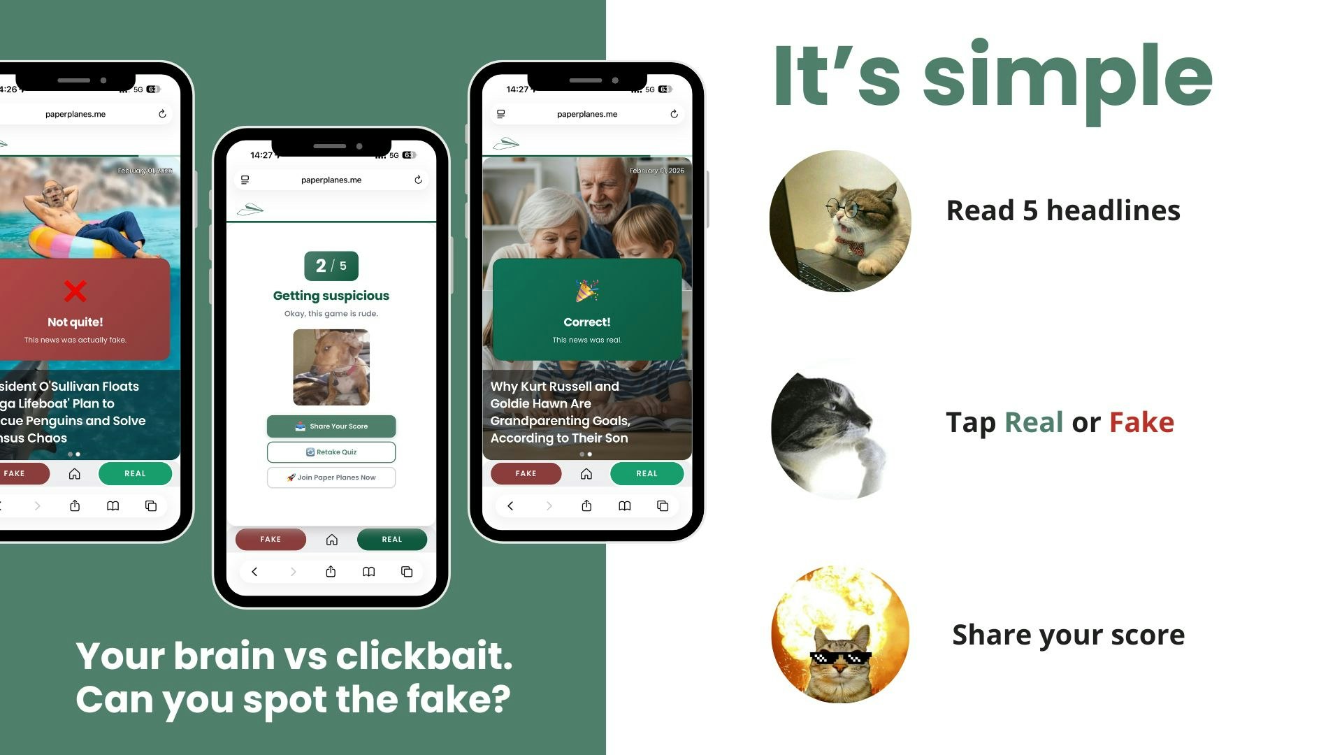 Fake vs Real (by Paper Planes) gallery image