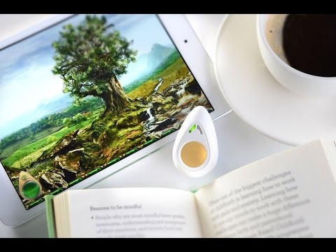 The Pip: Train your mind to manage stress gallery image