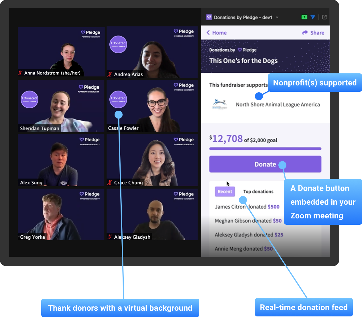 Pledge gallery image