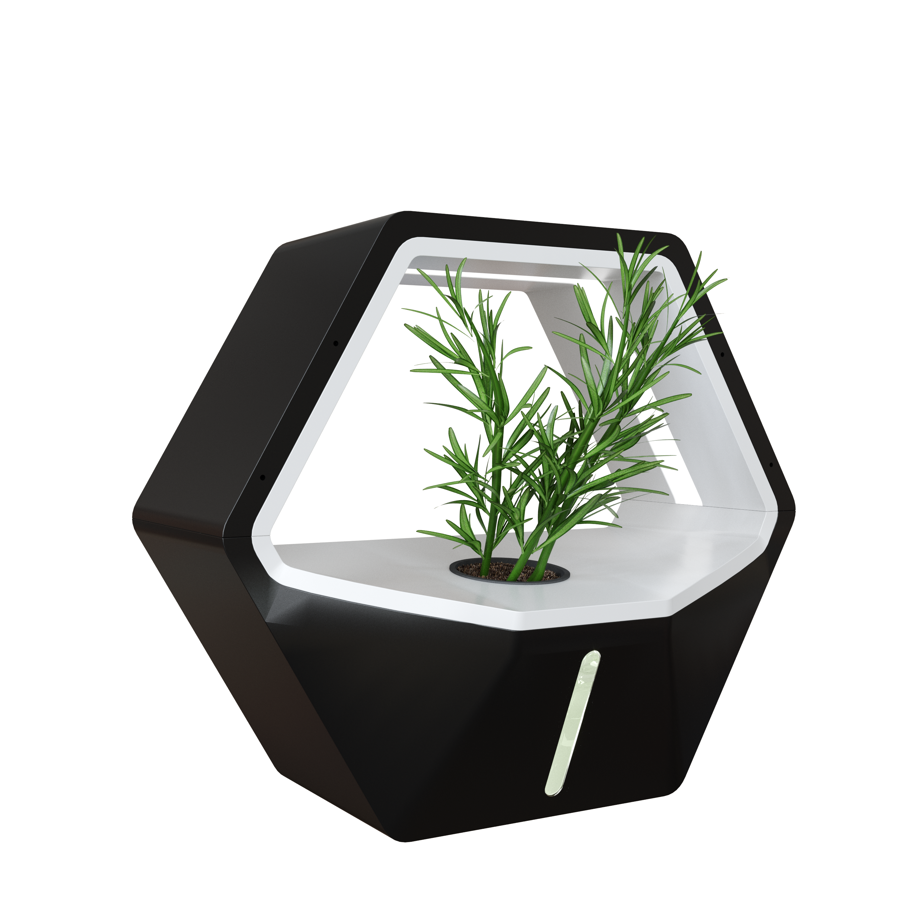 Bee Leaf Planter gallery image