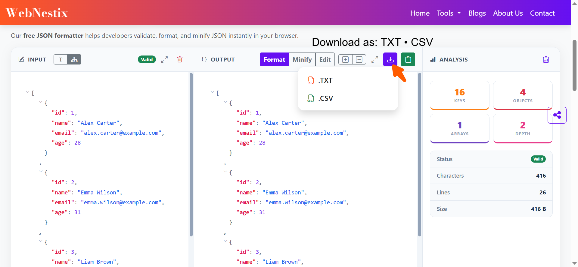 WebNestix JSON Formatter gallery image