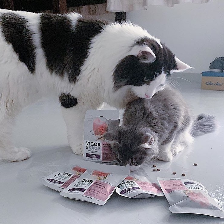 The Woof Agency gallery image