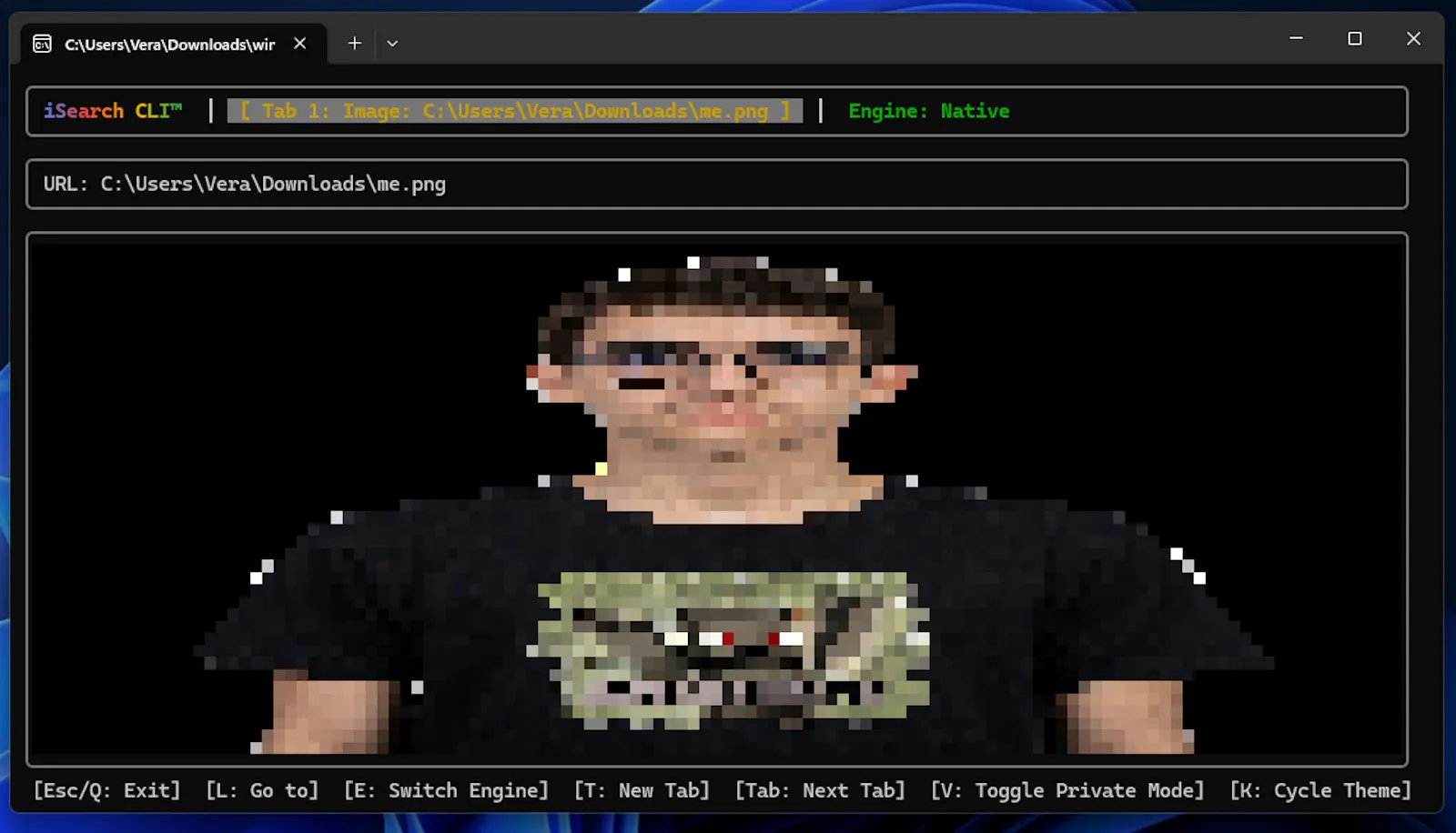 iSearch CLI™ screenshot 4