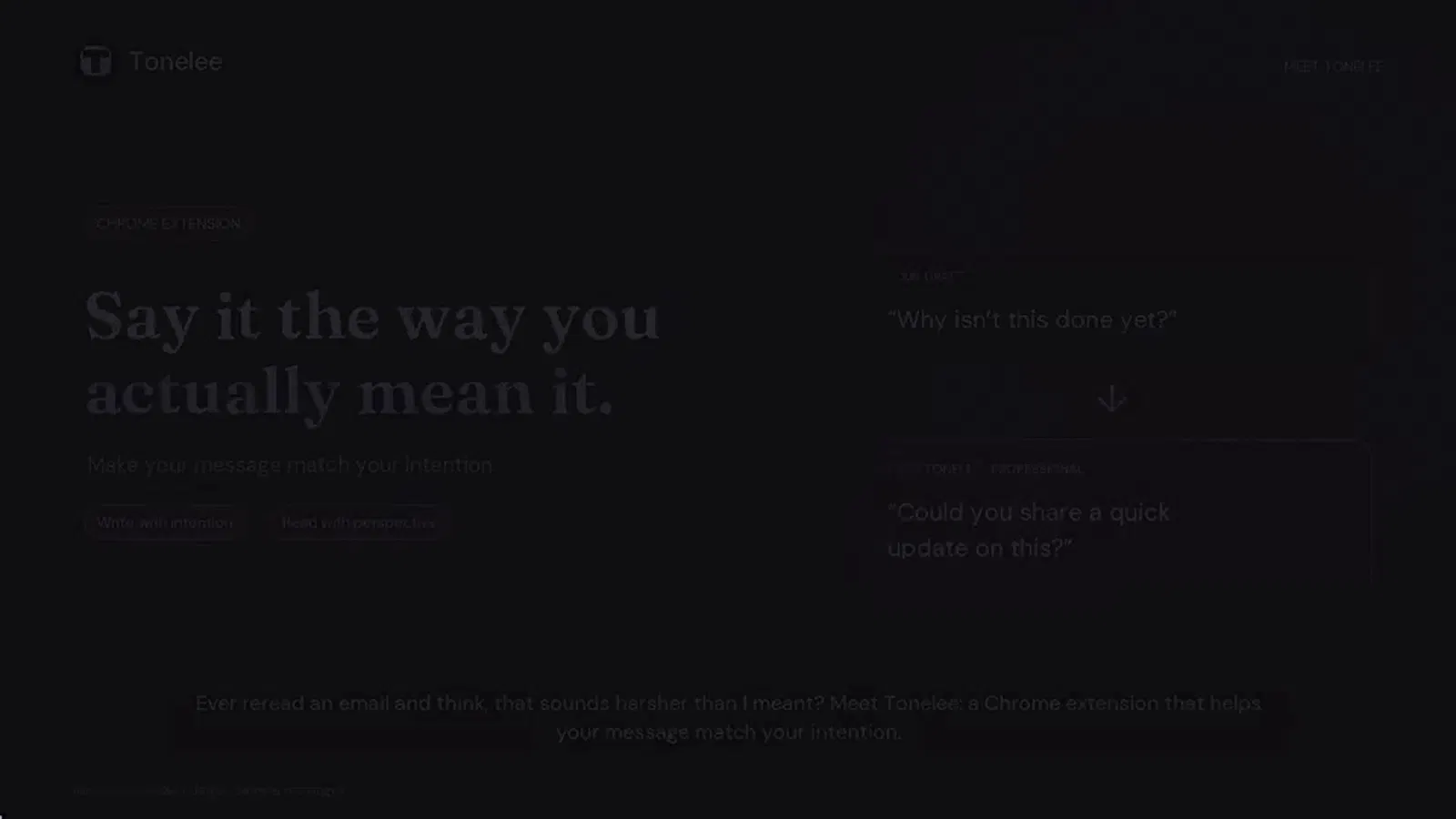 Tonelee screenshot 1 (video preview)