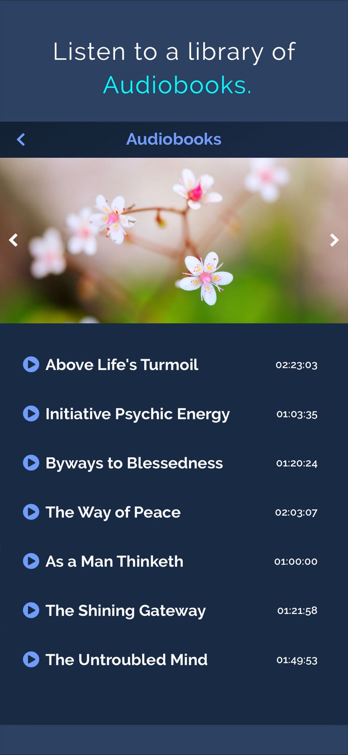 Beditations gallery image