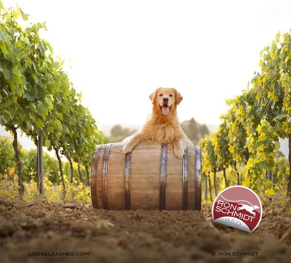 Loose Leashes gallery image