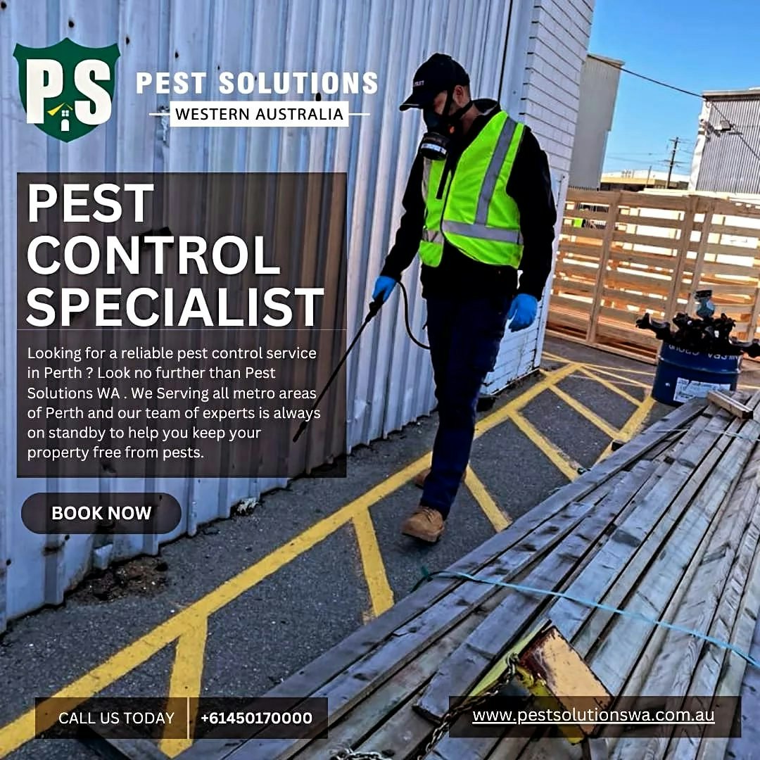 Pest Control Services gallery image