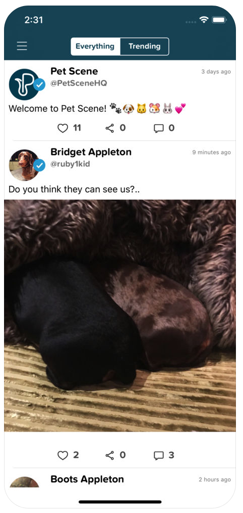 PetScene gallery image