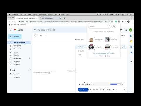 Lazy Felix gallery image