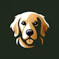 Lenish: Dog Care & Training