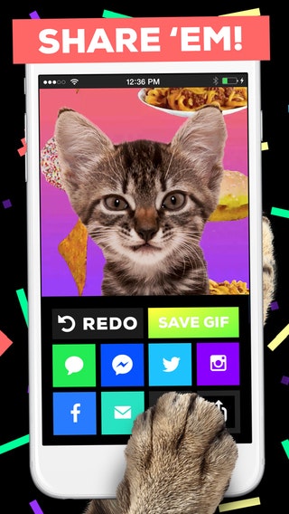 Giphy Cam 2.0 gallery image