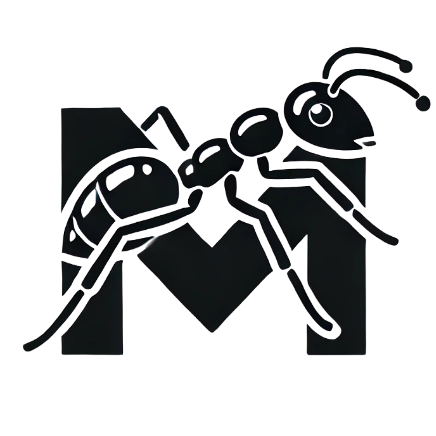 Moorcheh gallery image