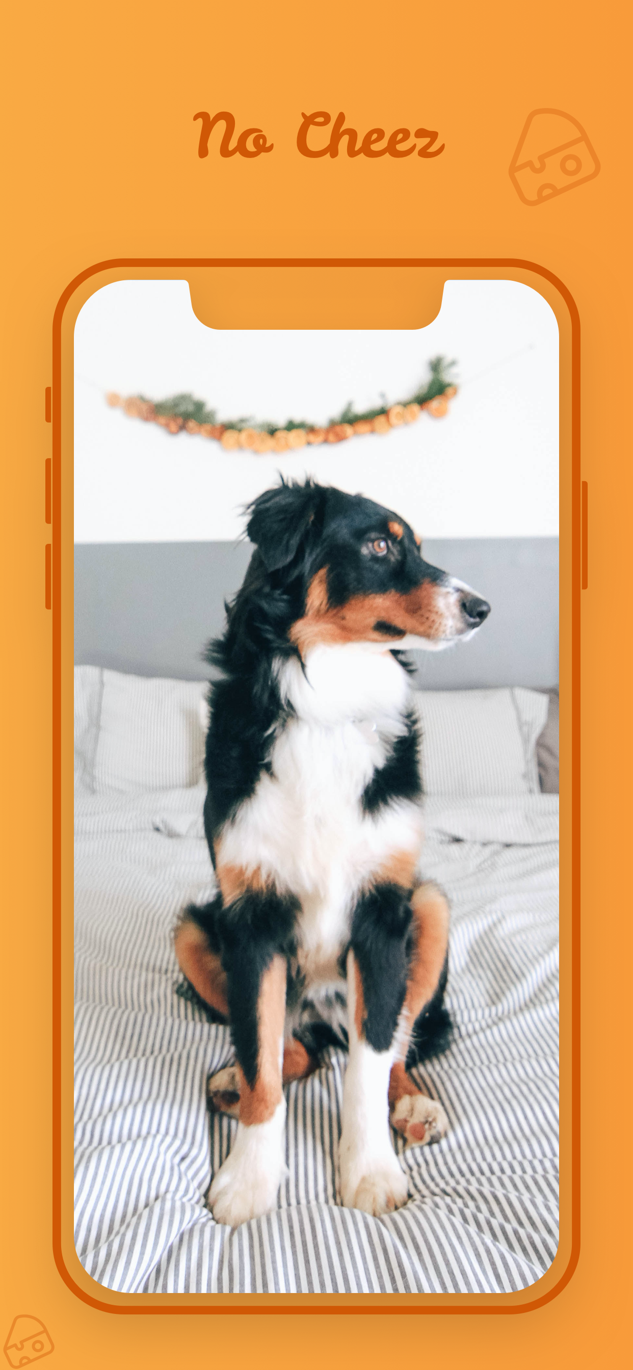 CheezyCam gallery image