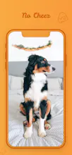 CheezyCam gallery image
