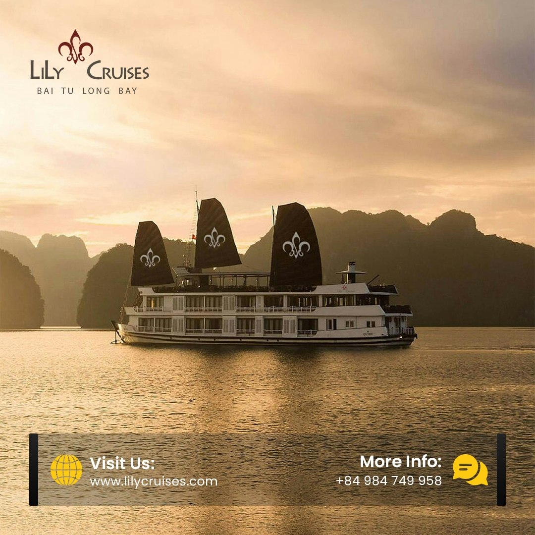 Experiencing the LILY cruise