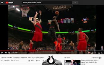 Chrome Cat gallery image