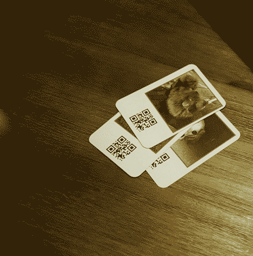 TraiNNing Cards