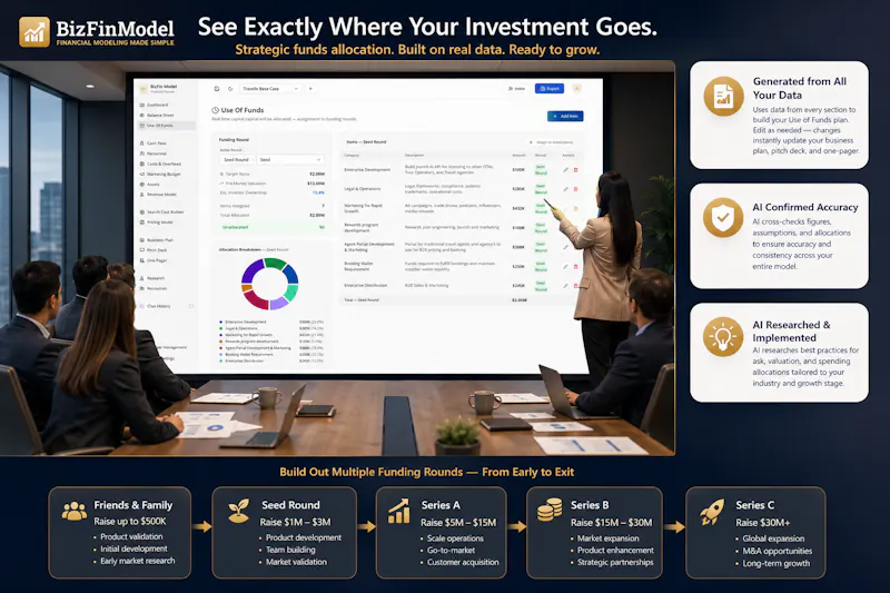BizFinModel screenshot 4