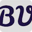BulkValuator