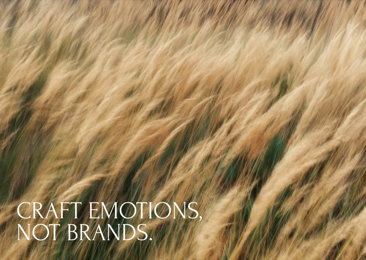 Couleur Blanche - Main screenshot showing features and interface