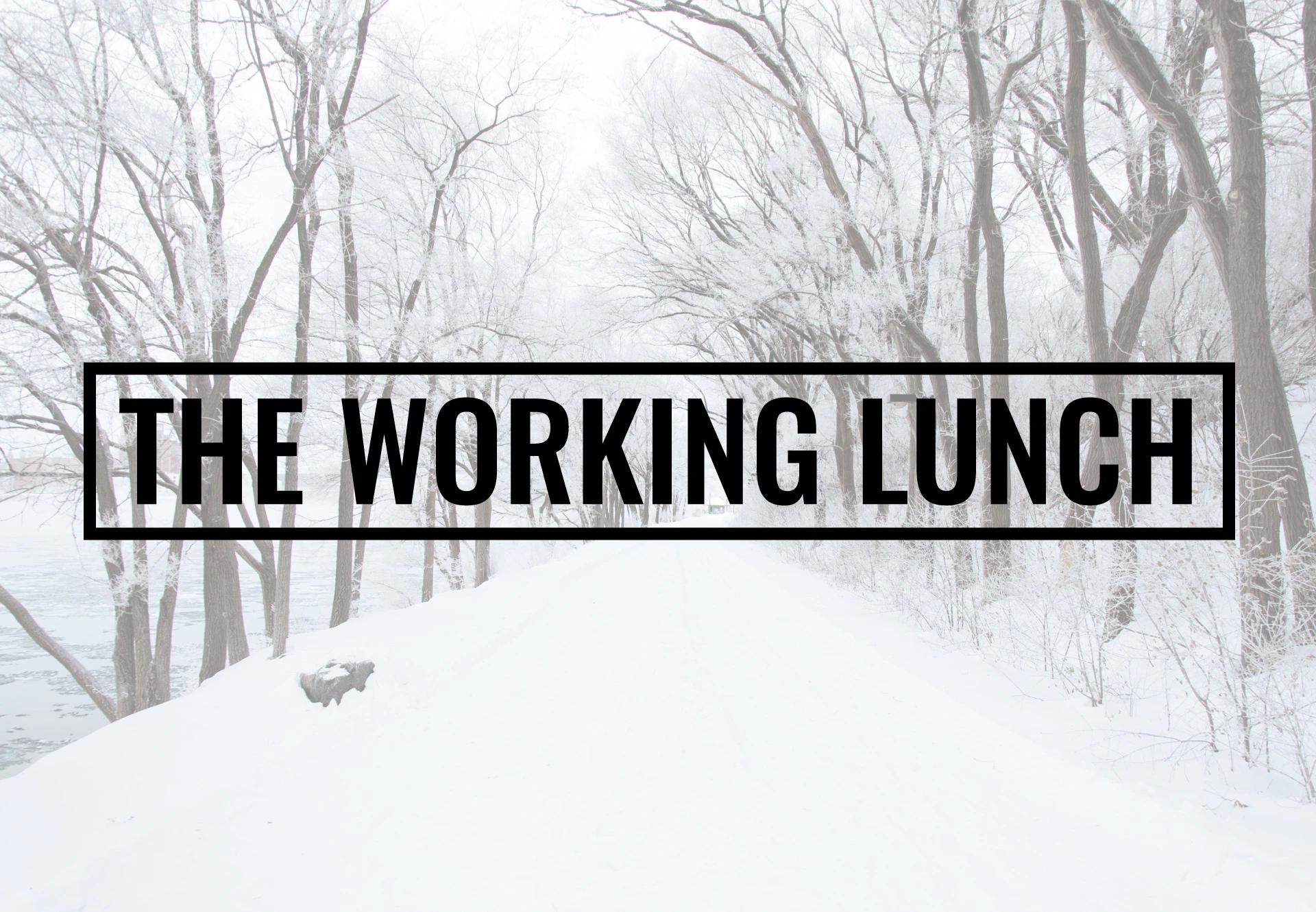 The Working Lunch 👻