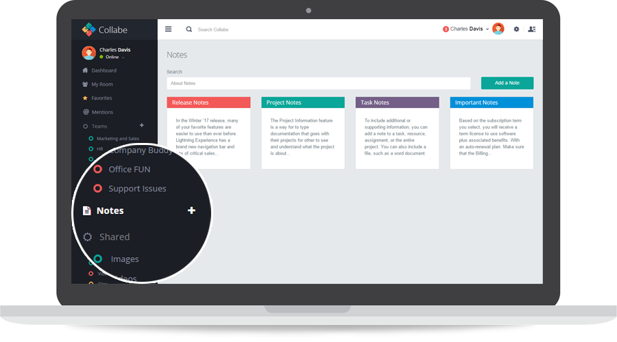 Collabe gallery image