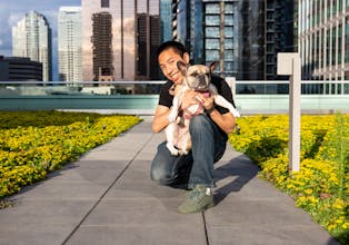 Dig 2.0 gallery image