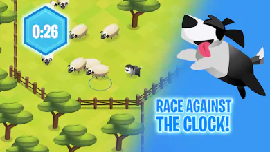 Sheepdog Adventure gallery image