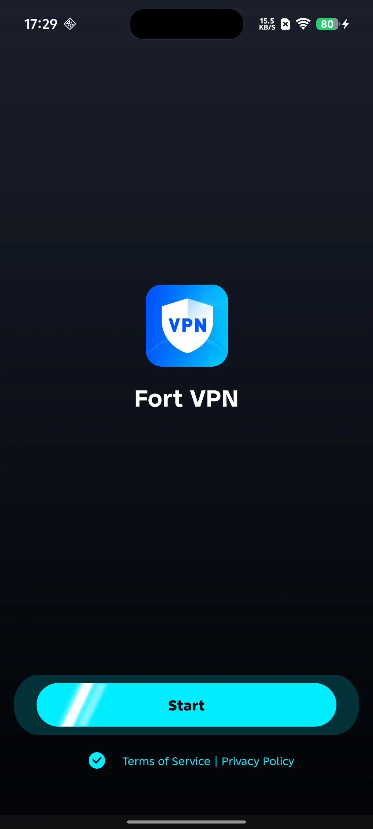 FortVPN gallery image