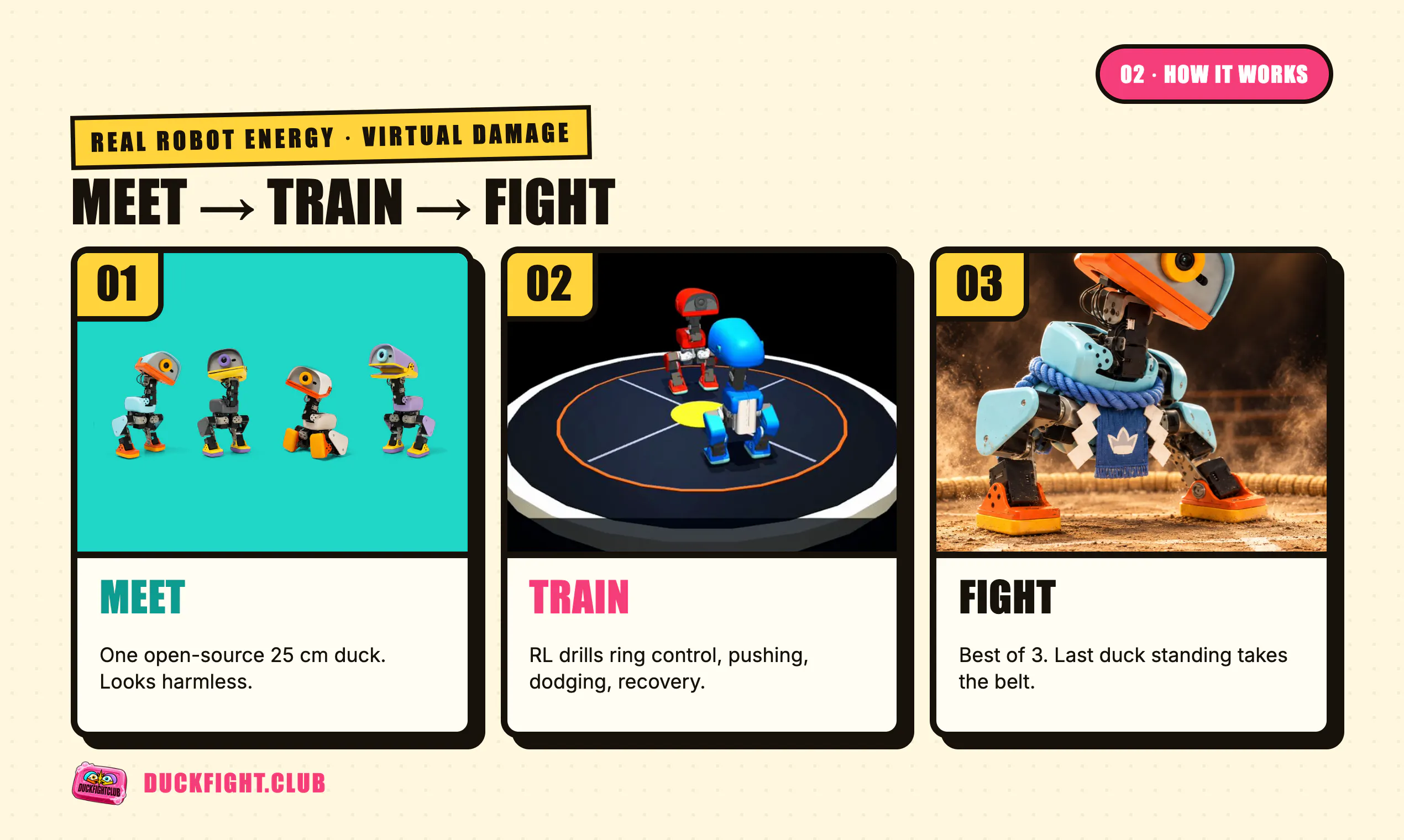 DuckFightClub gallery image