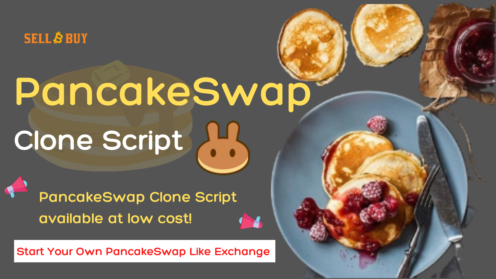 PancakeSwap Clone Script gallery image