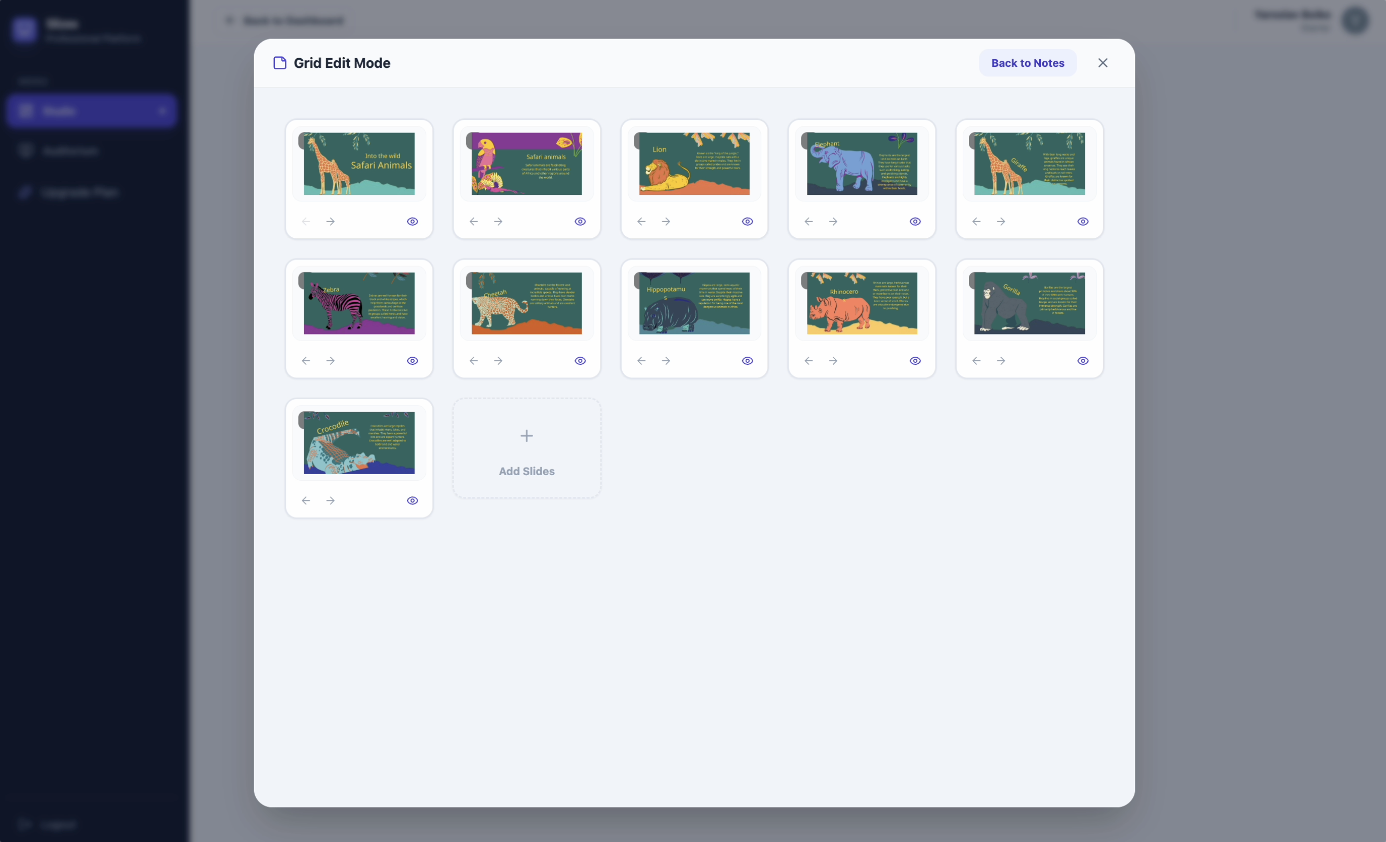 Slizex gallery image